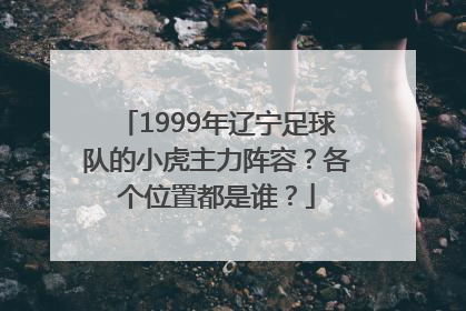 1999年辽宁足球队的小虎主力阵容？各个位置都是谁？