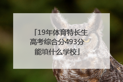 19年体育特长生高考综合分493分能填什么学校