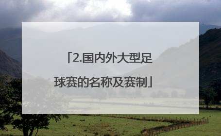 2.国内外大型足球赛的名称及赛制