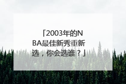 2003年的NBA最佳新秀重新选，你会选谁？