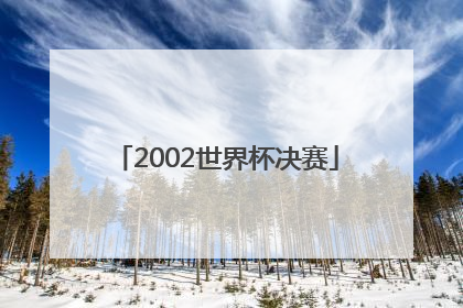 「2002世界杯决赛」2004年亚洲杯