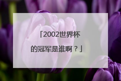 2002世界杯的冠军是谁啊？