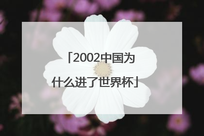 2002中国为什么进了世界杯