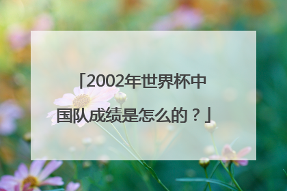 2002年世界杯中国队成绩是怎么的？