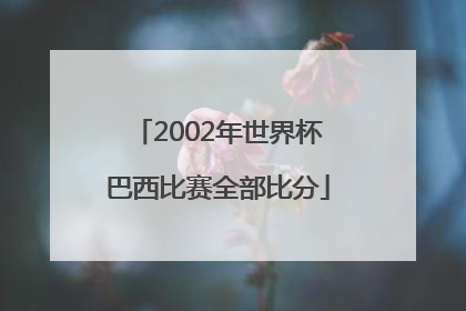 2002年世界杯巴西比赛全部比分