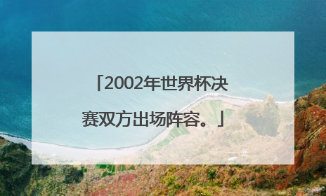 2002年世界杯决赛双方出场阵容。