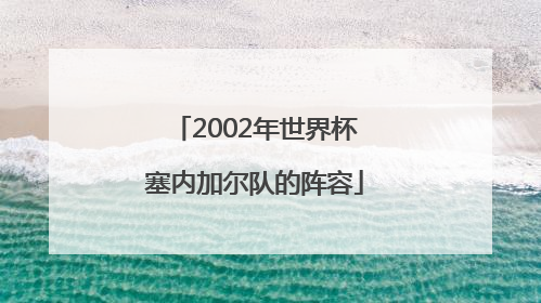 2002年世界杯塞内加尔队的阵容