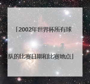 2002年世界杯所有球队的比赛日期和比赛地点