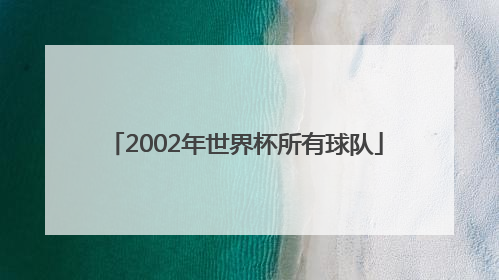 2002年世界杯所有球队