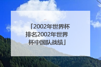 2002年世界杯排名2002年世界杯中国队战绩