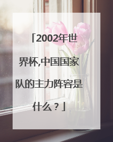 2002年世界杯,中国国家队的主力阵容是什么？