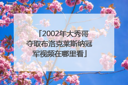 2002年大秀哥夺取布洛克莱斯纳冠军视频在哪里看