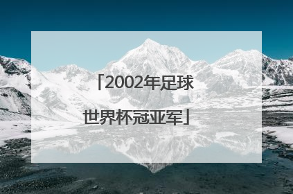 2002年足球世界杯冠亚军