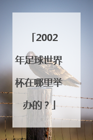 2002年足球世界杯在哪里举办的？