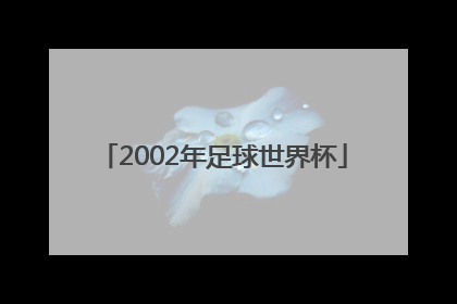 「2002年足球世界杯」世界足球排名前十名