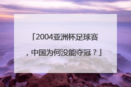 2004亚洲杯足球赛，中国为何没能夺冠？