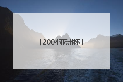 「2004亚洲杯」2004亚洲杯中国队名单