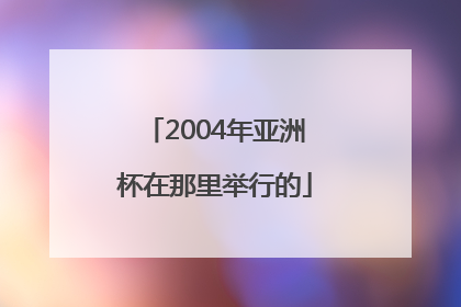 2004年亚洲杯在那里举行的