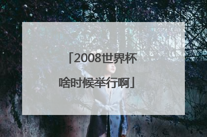 2008世界杯啥时候举行啊