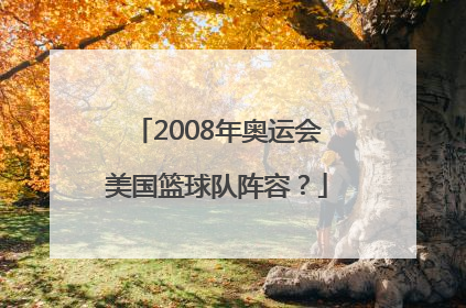 2008年奥运会美国篮球队阵容？