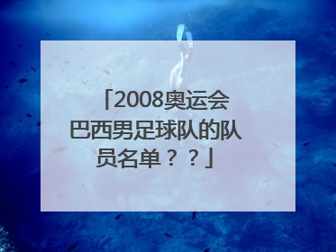 2008奥运会巴西男足球队的队员名单？？