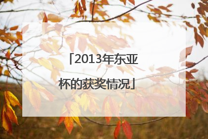 2013年东亚杯的获奖情况