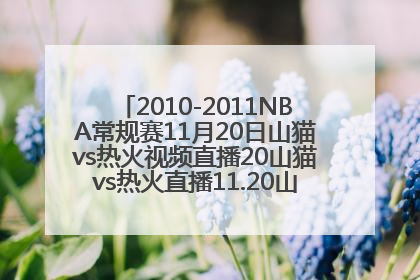 2010-2011NBA常规赛11月20日山猫vs热火视频直播20山猫vs热火直播11.20山猫vs热火网络直播