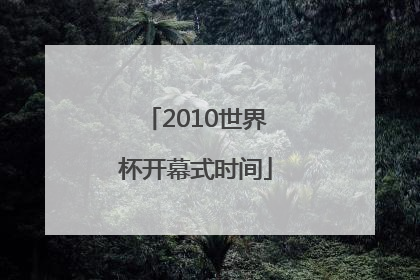 2010世界杯开幕式时间