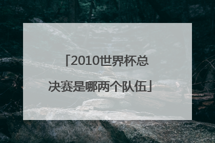 2010世界杯总决赛是哪两个队伍