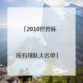 2010世界杯所有球队大名单