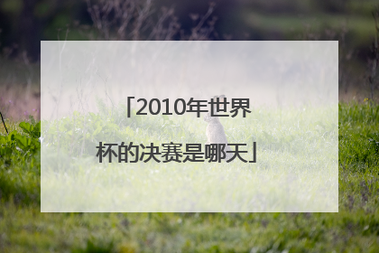 2010年世界杯的决赛是哪天