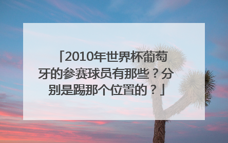 2010年世界杯葡萄牙的参赛球员有那些？分别是踢那个位置的？