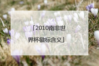 2010南非世界杯徽标含义