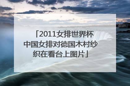 2011女排世界杯中国女排对德国木村纱织在看台上图片