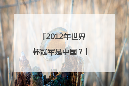 2012年世界杯冠军是中国？