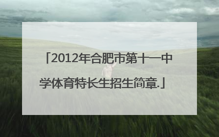 2012年合肥市第十一中学体育特长生招生简章.