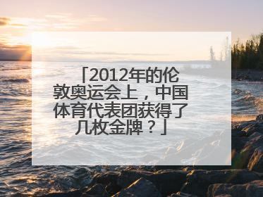 2012年的伦敦奥运会上，中国体育代表团获得了几枚金牌？