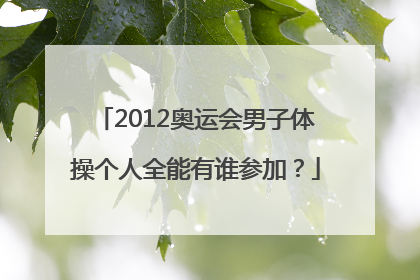 2012奥运会男子体操个人全能有谁参加？