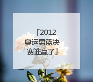 2012奥运男篮决赛谁赢了