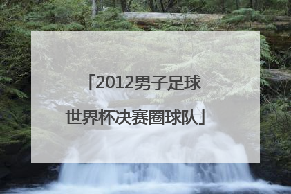 2012男子足球世界杯决赛圈球队