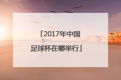 2017年中国足球杯在哪举行