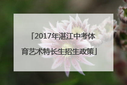 2017年湛江中考体育艺术特长生招生政策