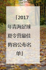 2017年青海足球夏令营最佳阵容公布名单