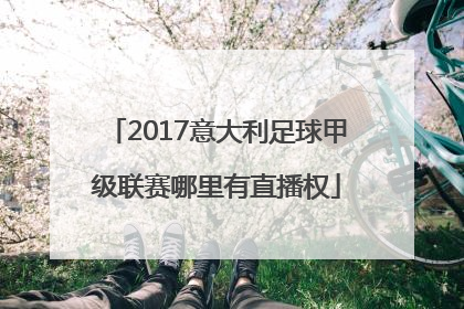 2017意大利足球甲级联赛哪里有直播权