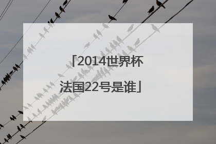 2014世界杯法国22号是谁