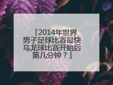 2014年世界男子足球比赛最快乌龙球比赛开始后第几分钟？