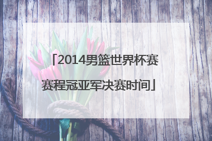 2014男篮世界杯赛赛程冠亚军决赛时间