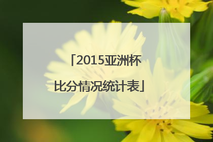 2015亚洲杯比分情况统计表