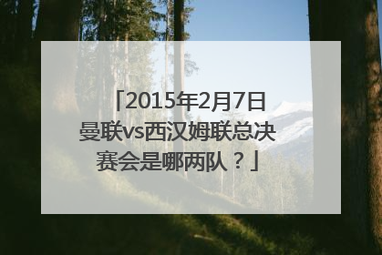 2015年2月7日曼联vs西汉姆联总决赛会是哪两队？