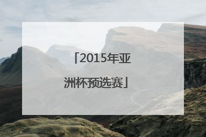 「2015年亚洲杯预选赛」2015年亚洲杯预选赛中国战绩